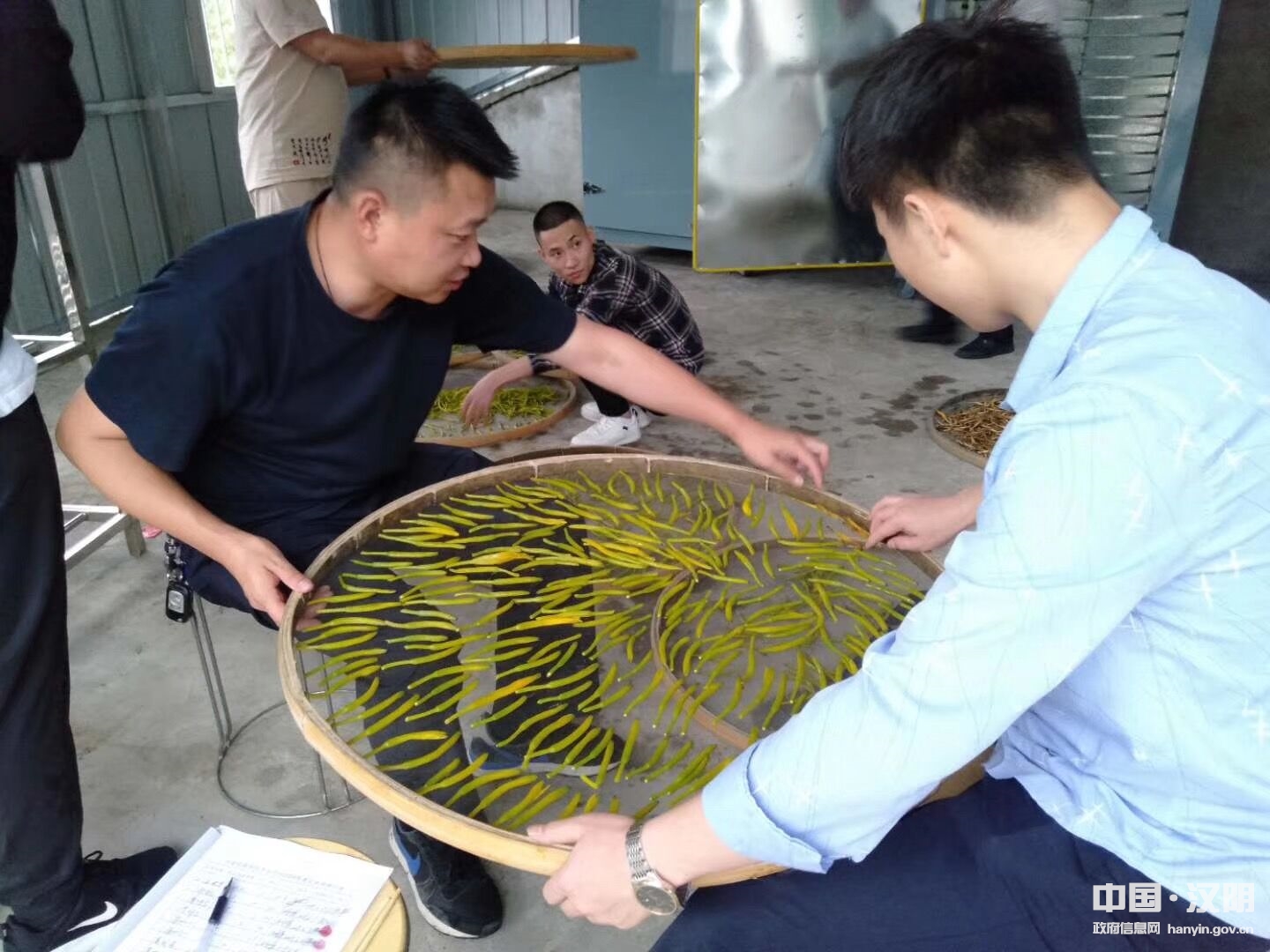 照片2.jpg
