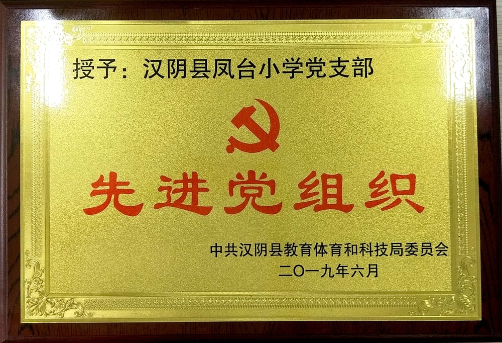 汉阴县凤台小学荣获“先进党组织”称号.jpg