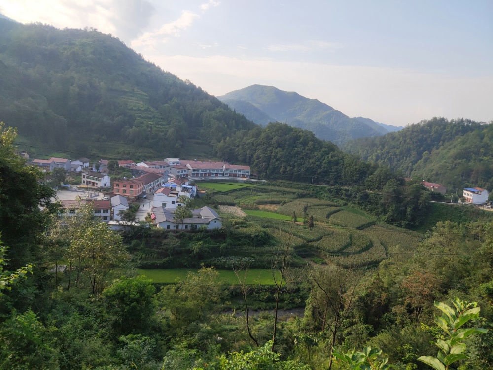 IMG20190817074728.jpg