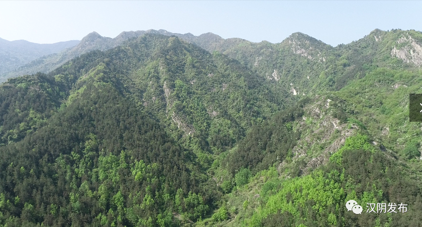 微信图片_20200421173225.png