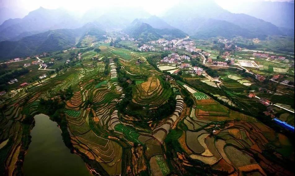 微信图片_20200423083323.jpg