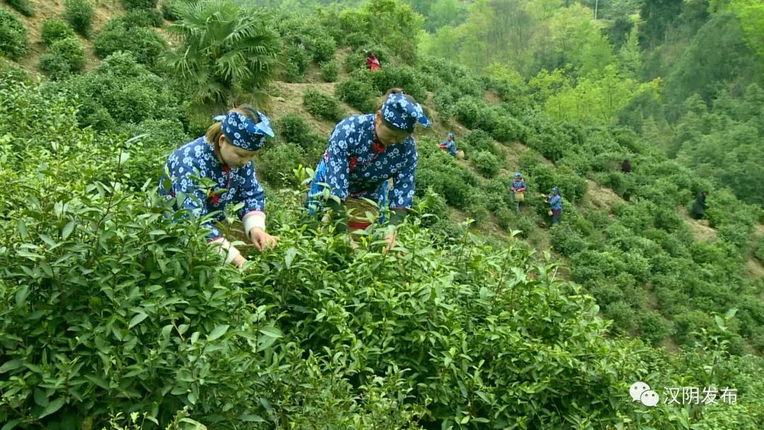 微信图片_20200526085847.jpg
