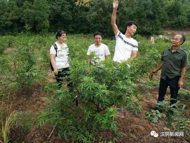 微信图片_20200601083424.jpg